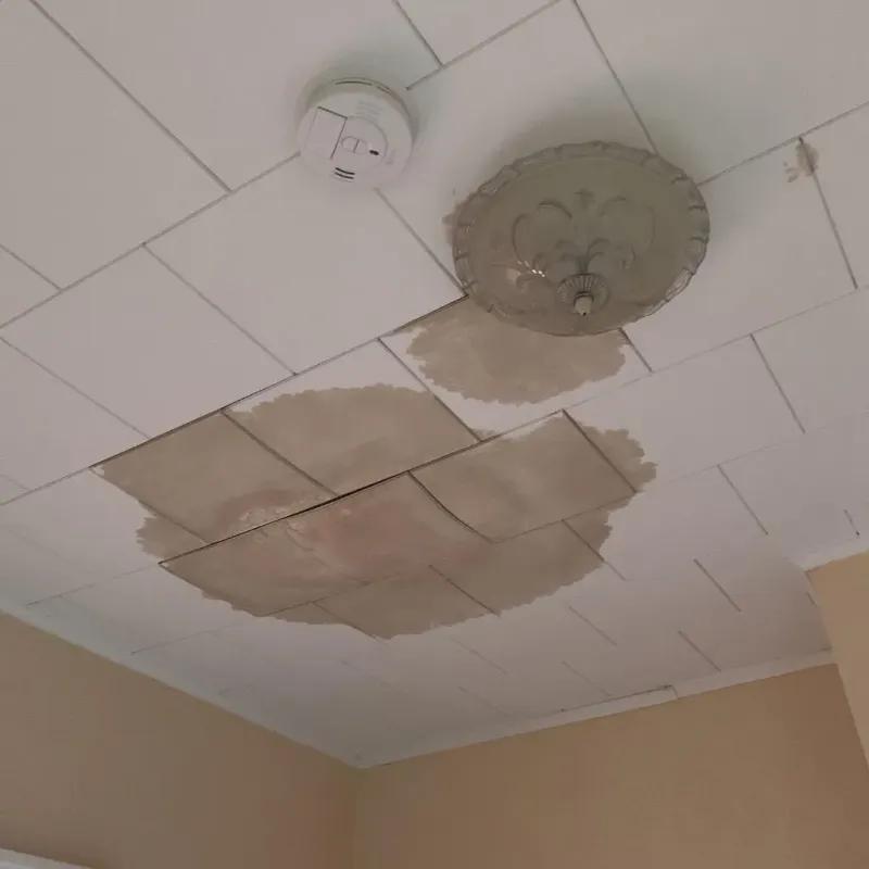 Ceiling Water Damage Repair in Kohler, WI